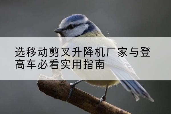 西乡塘电动升降机厂家-选移动剪叉升降机厂家与登高车必看实用指南