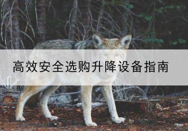 西乡塘升降货梯厂家推荐-*安全选购升降设备指南